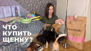 ВСЁ, ЧТО НАДО КУПИТЬ, ЕСЛИ ВЫ РЕШИЛИ ЗАВЕСТИ ЩЕНКА ?