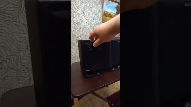 Обзор. Колонки SONY , от Муз Центра FH-В500. смотреть онлайн