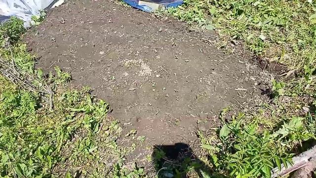 14 июня #2023#обзор#дачи#дела#делаются#посадки# смотреть онлайн