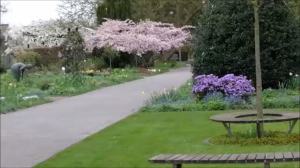 Гуляем по районному саду…