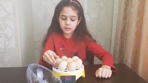 Мини инкубатор на 7 яиц. Часть первая