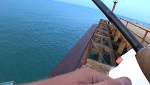 Рыбалка с Пирса на Чёрном море\Морская Рыбалка\Краснодарский край