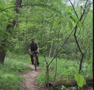 2. Лесная тропа