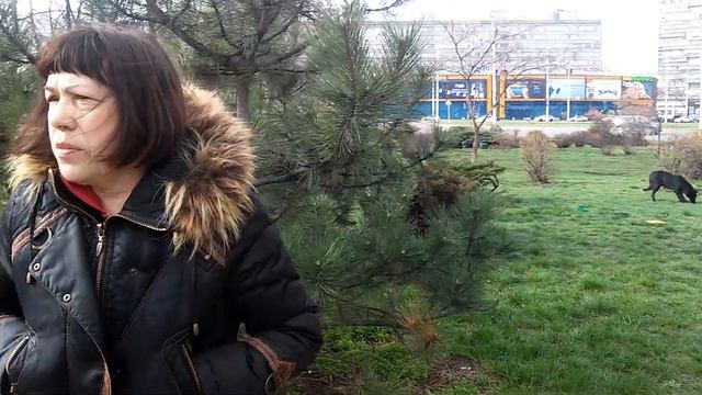 Разорвали котика в сквере. Притравливают сволочи своих собак смотреть онлайн