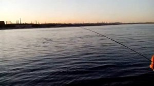 Ловля сельди на Волге г Волгоград