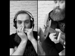 Paint it Black - Rolling Stones harmonica cover by Boris Plotnikov