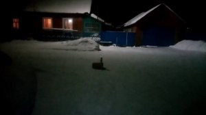 новый год , запуск фейерверков