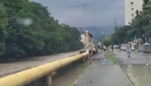 В Сочи из-за непогоды включали сирены