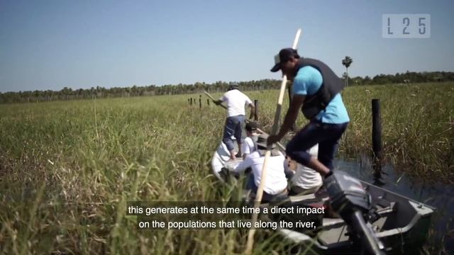 El Pantanal - Chaco Paraguay смотреть онлайн