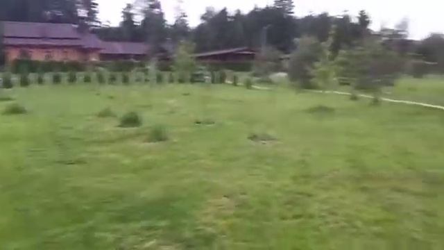 Нанять трактор с косилкой для покоса травы в Москве Чеховский район смотреть онлайн