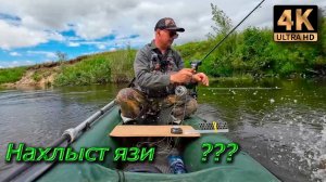 Нахлыст. Язи клюют до обеда...