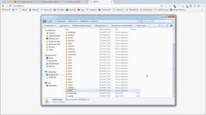 Создаем локальные хосты в OpenServer