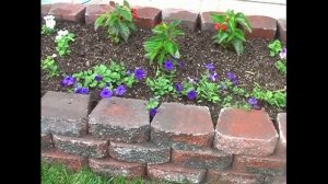 Flower Pattern Planting in the Spring