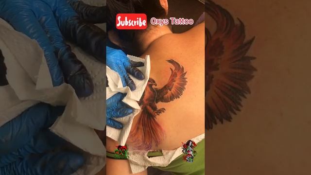 Color tattoo for a girl phoenix. Tattoo on the shoulder #Shorts