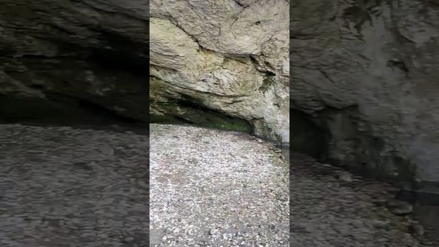 Зажгли под гармонь на сплаве?? смотреть онлайн