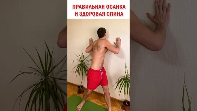 ? Правильная осанка и здоровая спина ? Простое ЛФК упражнение дома #зож #здоровье #спина #осанка