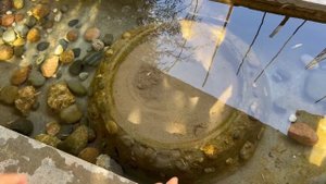 200 Кг мяса на 500 человек! Свадьба в Кишлаке! Узбекистан!