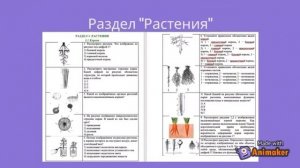 Зри в корень: сборник иллюстративного материала для подготовки к ОГЭ по биологии