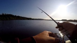 Azura 702M в работе. Отличный клев хищника на спиннинг в июльскую жару