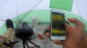 Лещ на ЗИМНИЙ ФИДЕР. Как вялить леща зимой? #OmskFish