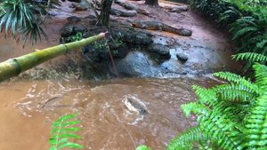 Хайнань, Дуньшань Сафари парк, парк вулканов