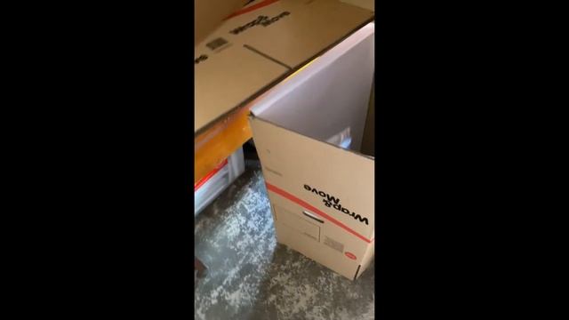 CAMERA OBSCURA Storage Shed Revealed смотреть онлайн