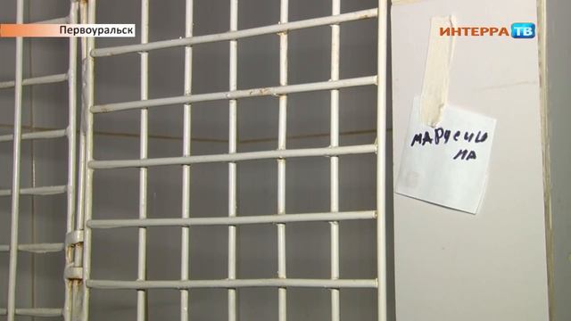 Пожар 11 03 19 смотреть онлайн