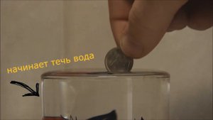 Опыт #3.  «Поверхностное натяжение воды"