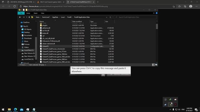 FiveM How To Fix Could Not Load Componet Ros-patches-five.dll Win7