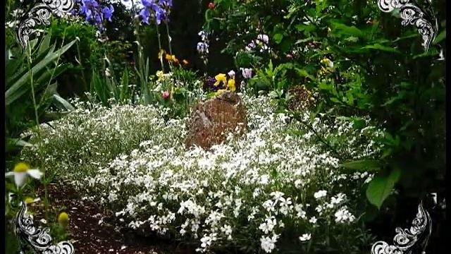 Море + цветы = Бердянск смотреть онлайн