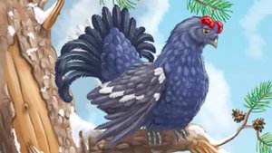 Байка про тетерева