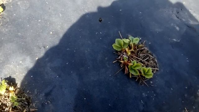 Весенние работы. смотреть онлайн