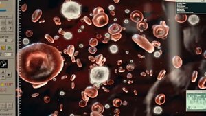 Нельзя показывать эмоции, иначе ОНИ тебя заберут.. | Краткий пересказ фильма Вторжение