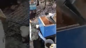 Профессия пчеловод