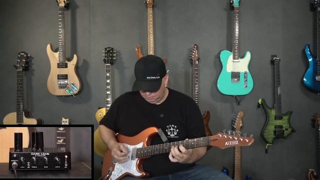 Handwired Dark Gene Red 1 watt tube amp смотреть онлайн