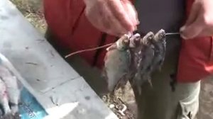 Поход на катере. Новоладожский канал. Рыба.