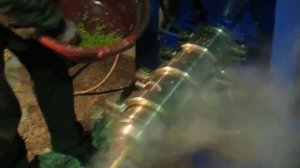 Экструдер растительных кормов, экструзия пшеницы экструдат РосЭкструдер.рф