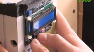 Самарцы планируют круглогодично выращивать клубнику в гараже