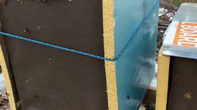 March Hive Update смотреть онлайн