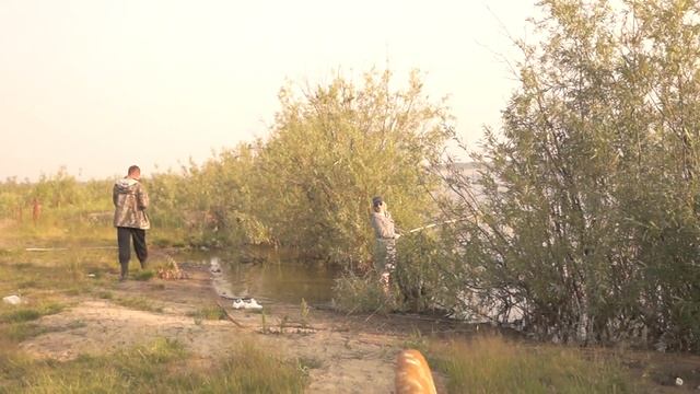 зубы у карпа есть ? смотреть онлайн