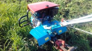 Рожь как сидерат в саду.