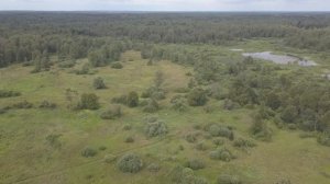 Полет над заброшенной деревней Кузьминка (Боровский тракт)