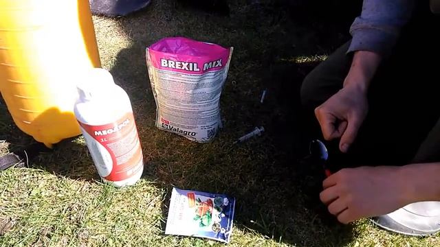 Первая подкормка КЛУБНИКИ весной. Корневая подкормка. Удобрение по листу (1).mp4 смотреть онлайн