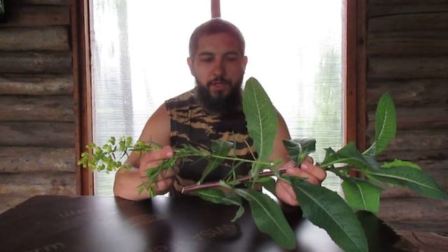 Латук или молокан ценный корм для кроликов смотреть онлайн