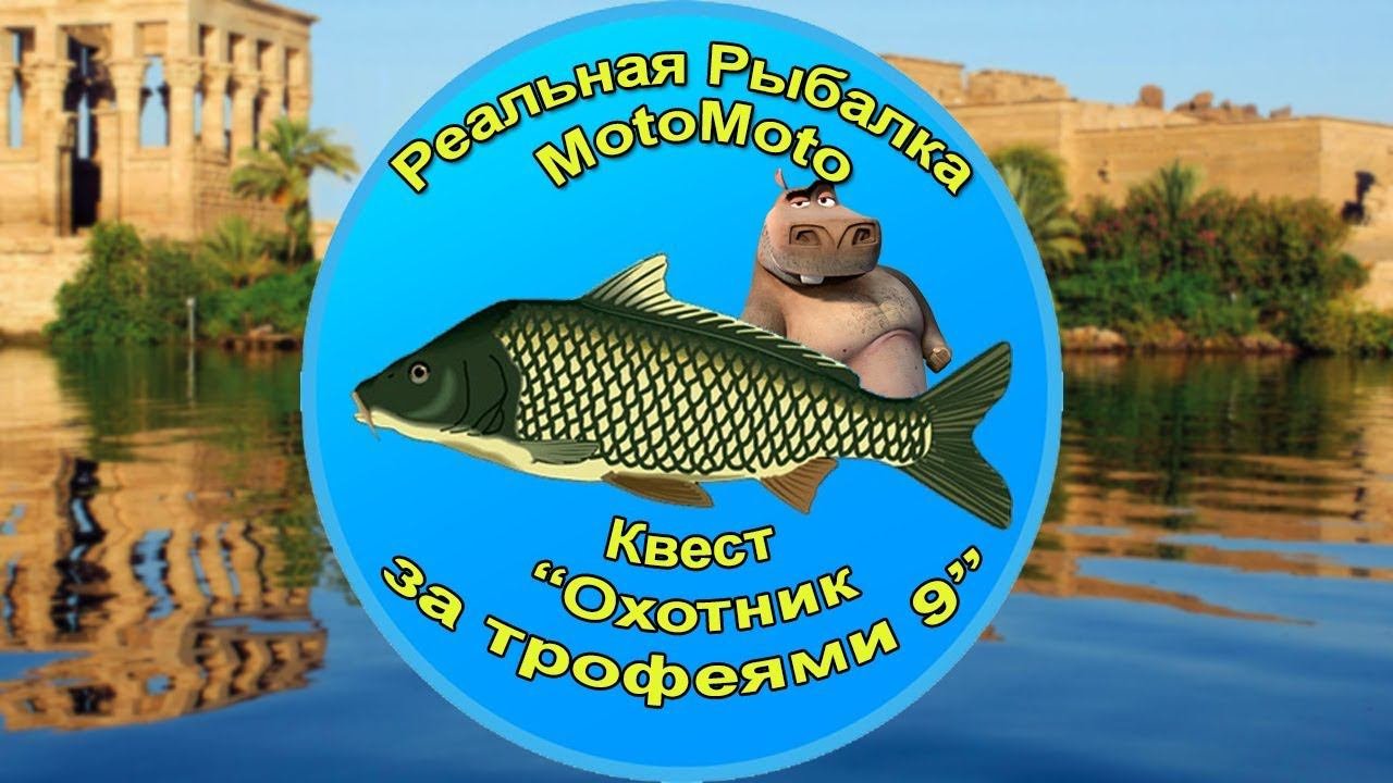 Квест 