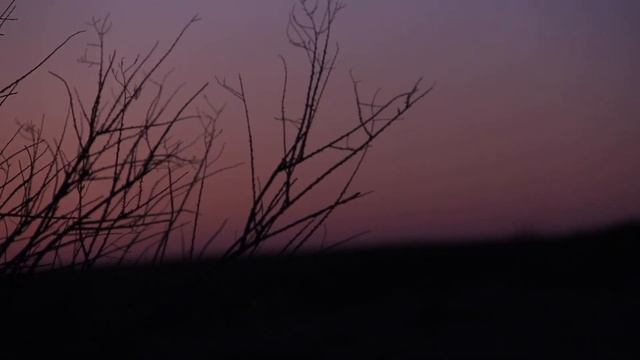 Рыбалка/Каратал/Алматинская область/Казахстан