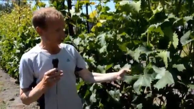 Удобрения Реаком, часть 1 смотреть онлайн