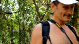 Экскурсия по тропическому дождевому лесу на Цейлоне