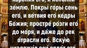 ПОБЛАГОДАРИ БОГА ЗА ПРОЖИТЫЙ ДЕНЬ. Вечерние молитвы слушать онлайн. Вечернее правило
