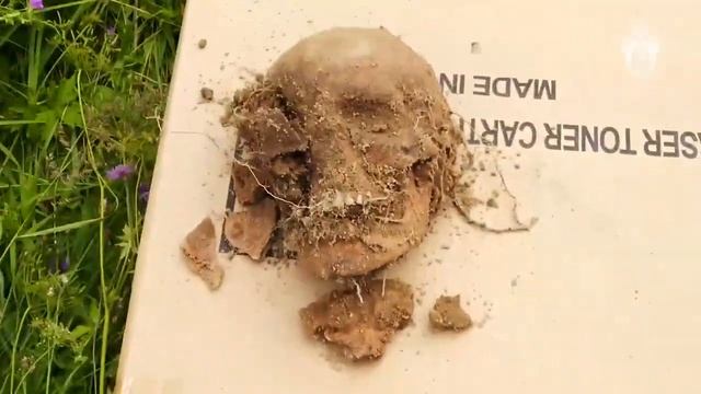 Раскопки захоронения братской могилы в Дорогобуже смотреть онлайн